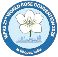 WRC 2028 Logo